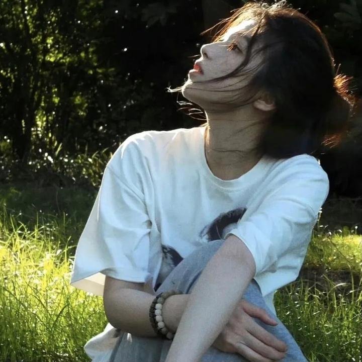 野狗们